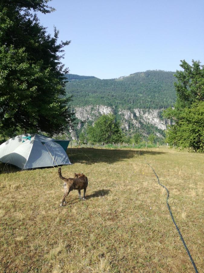 Rafting Camp Apartments Montenegro Goran Lekovic Žabljak Esterno foto