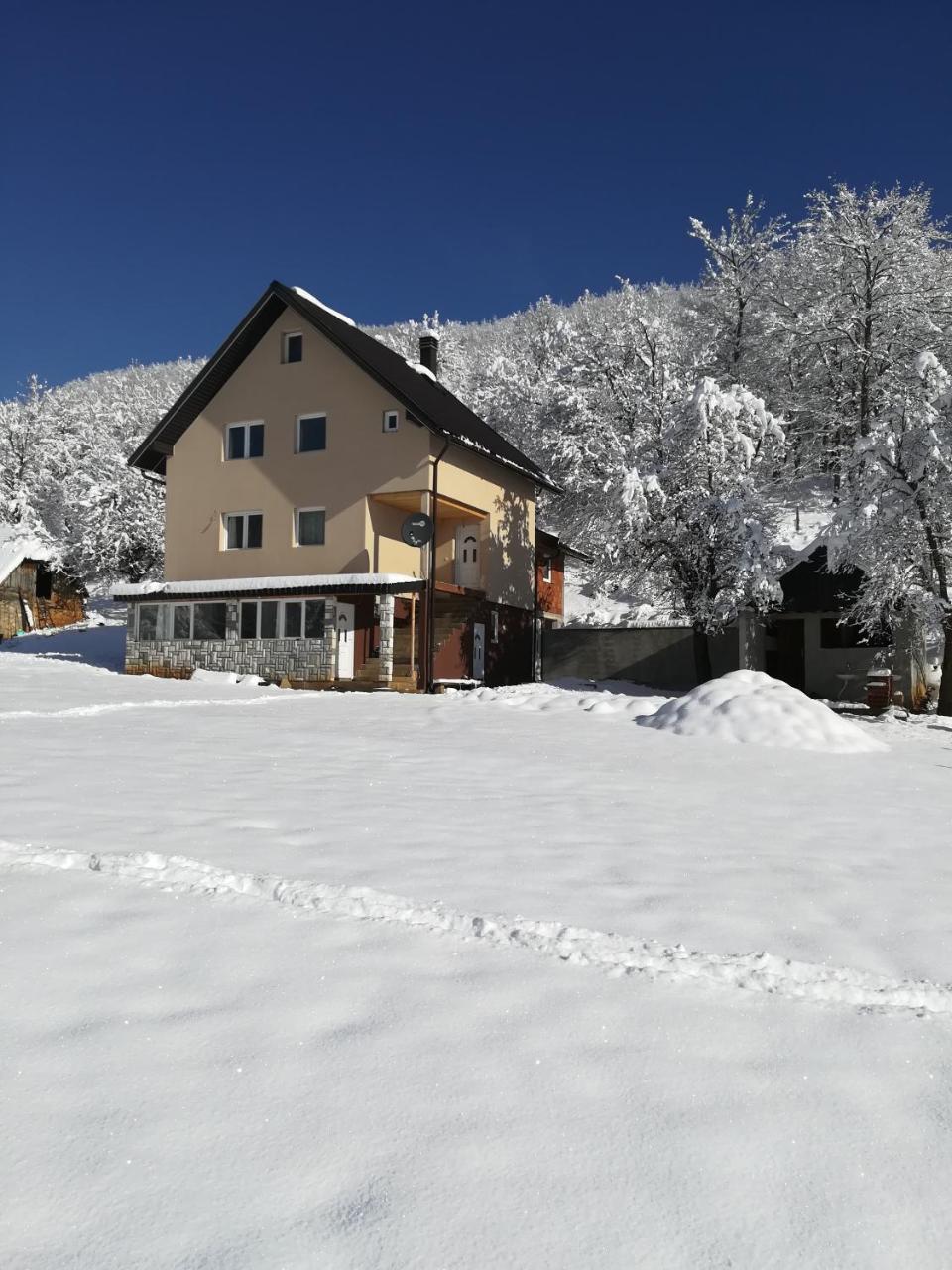 Rafting Camp Apartments Montenegro Goran Lekovic Žabljak Esterno foto